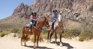 BEST Las Vegas Activities: horseback riding, tours, sightseeing, kayaking, Hoover Dam